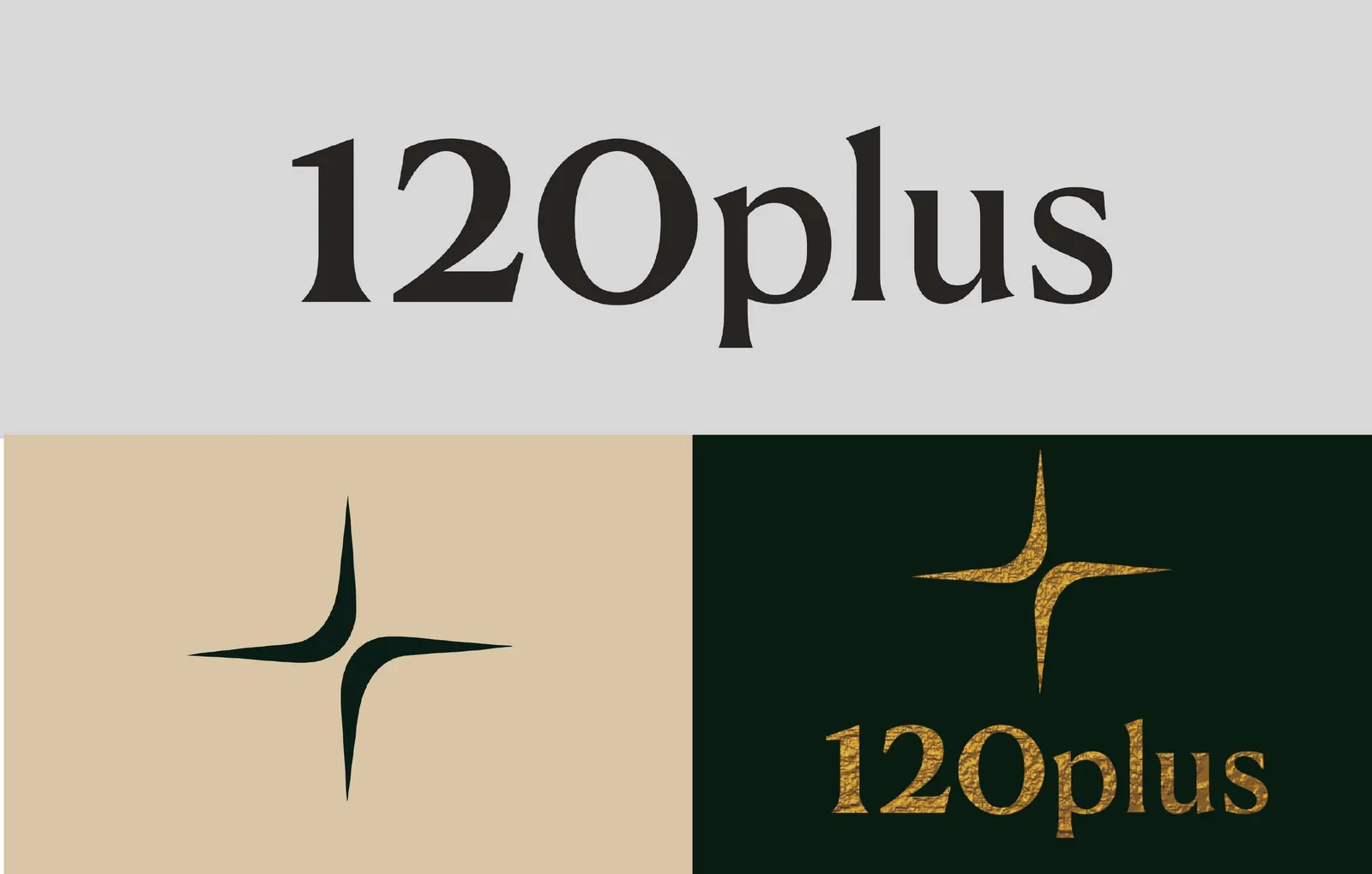 120plus — brand application 7